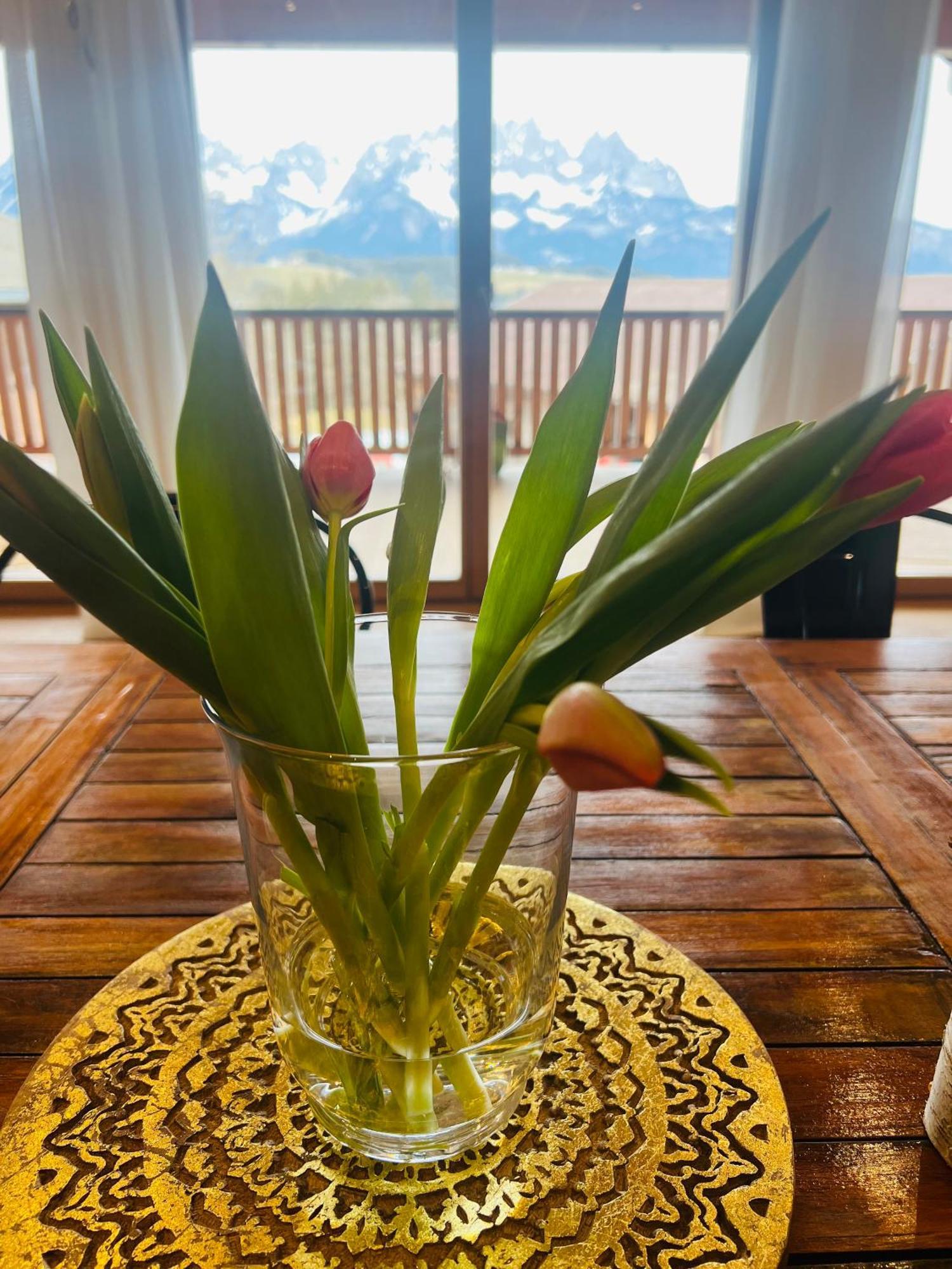 Apartamento Bio Yoga Hof Kitzbühel Exterior foto